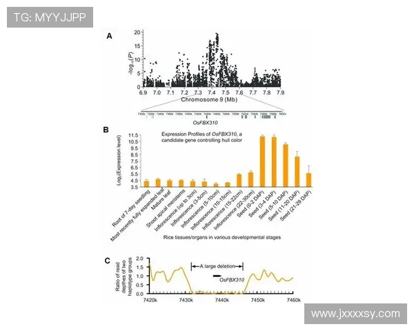 艾德森如何推动科技创新与人类未来发展的深远影响解析 艾德森如何推动科技创新与人类未来发展的深远影响解析