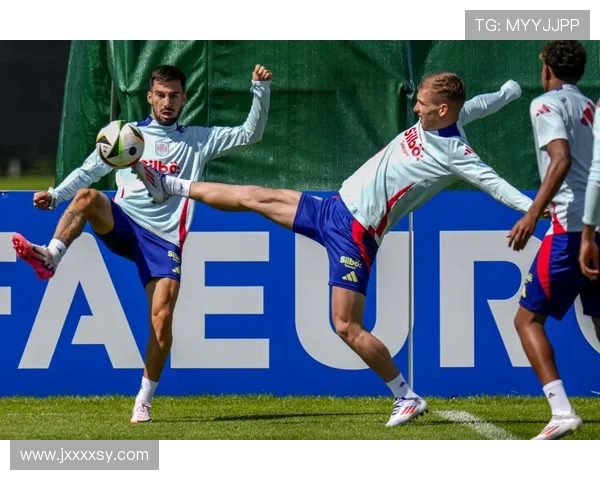 世界杯激战风云再起全球豪强巅峰对决尽显绿茵足球无限魅力激情盛宴